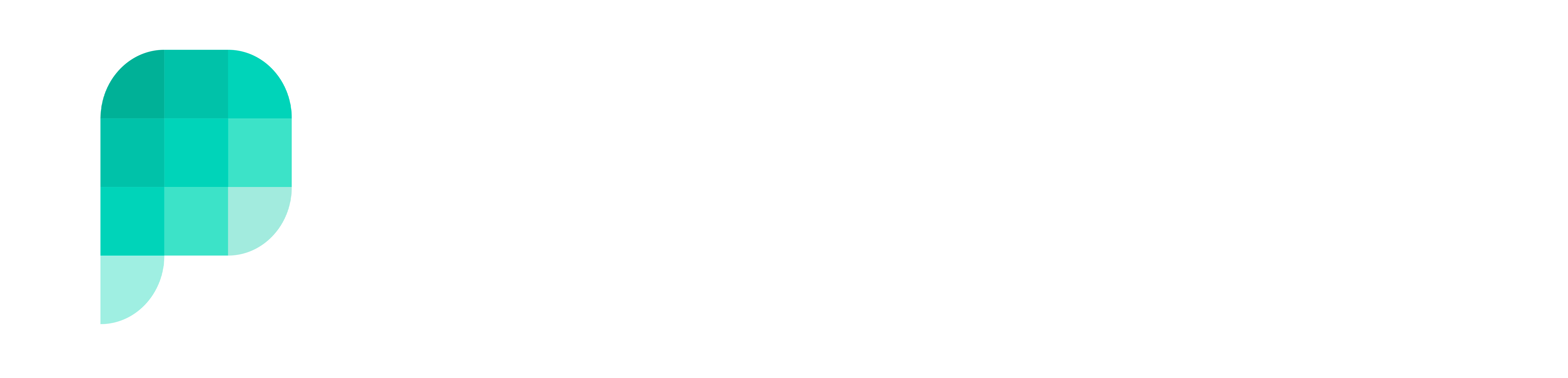 Company name